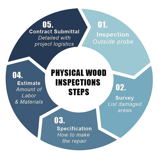 ProTech Painting │Wood Repair│ Physical Wood Inspection Report